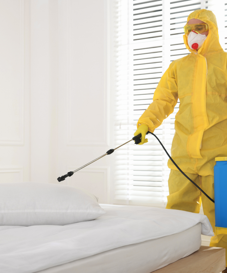 Professional Pest Control Team in Glenside
